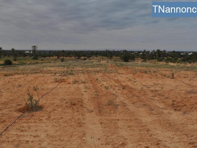 Terrain location