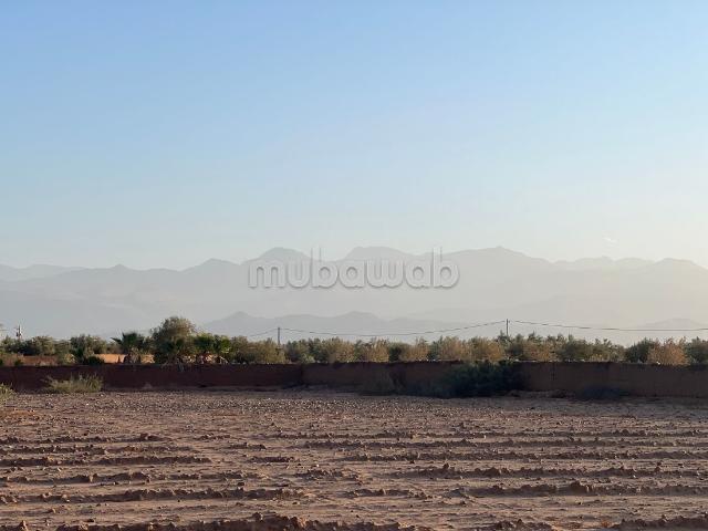 Terrain vente à Marrakech, L'Oriental