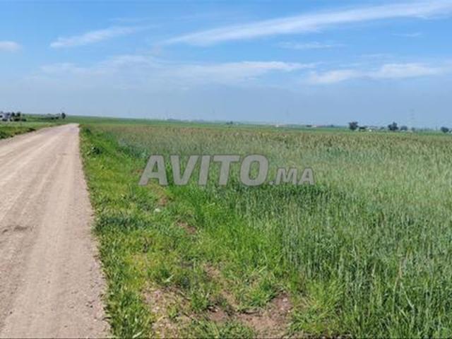 Propriété vente à El Ma, Gharb-Chrarda-Beni Hssen
