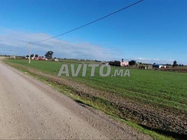 Propriété vente à El Ma, Gharb-Chrarda-Beni Hssen