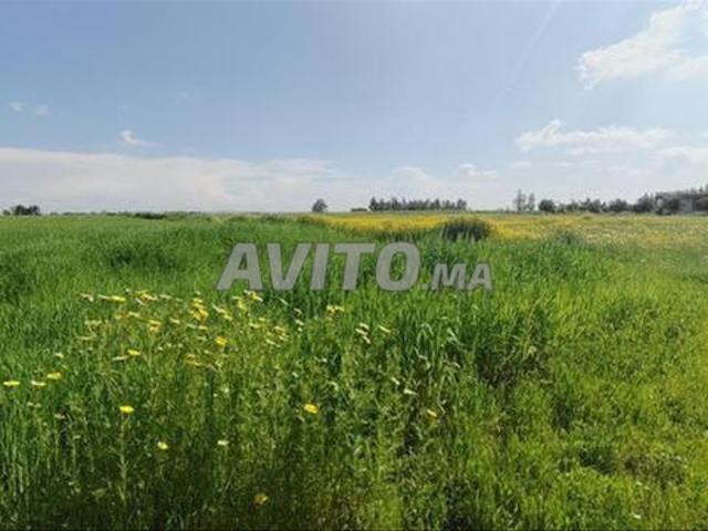 Propriété vente à El Ma, Gharb-Chrarda-Beni Hssen