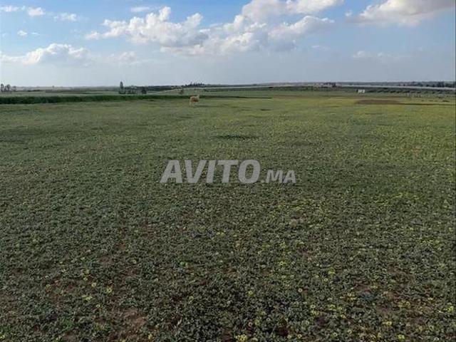 Propriété vente à El Ma, Gharb-Chrarda-Beni Hssen
