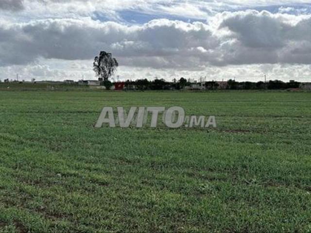 Propriété vente à El Ma, Gharb-Chrarda-Beni Hssen