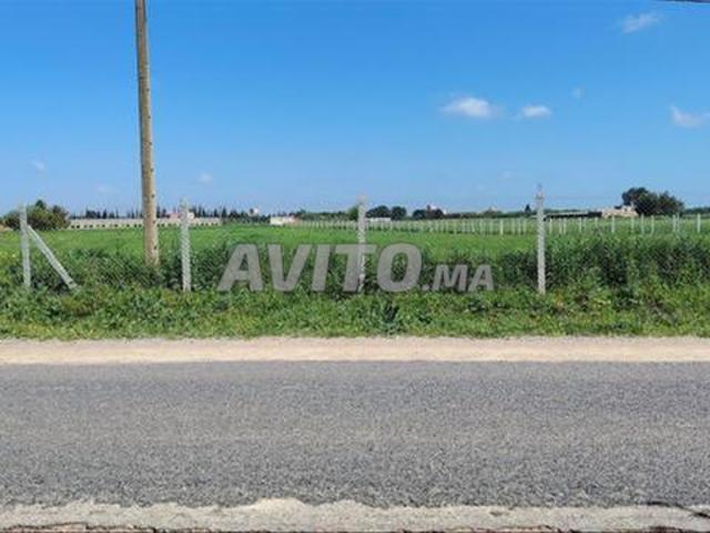 Propriété vente à El Ma, Gharb-Chrarda-Beni Hssen