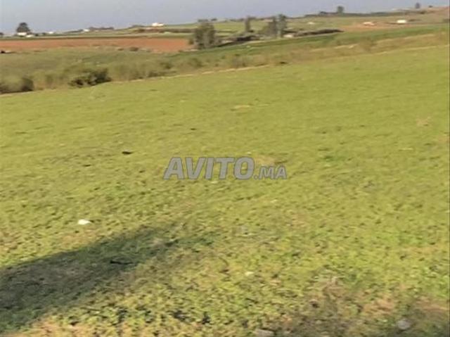 Propriété vente à El Ma, Gharb-Chrarda-Beni Hssen