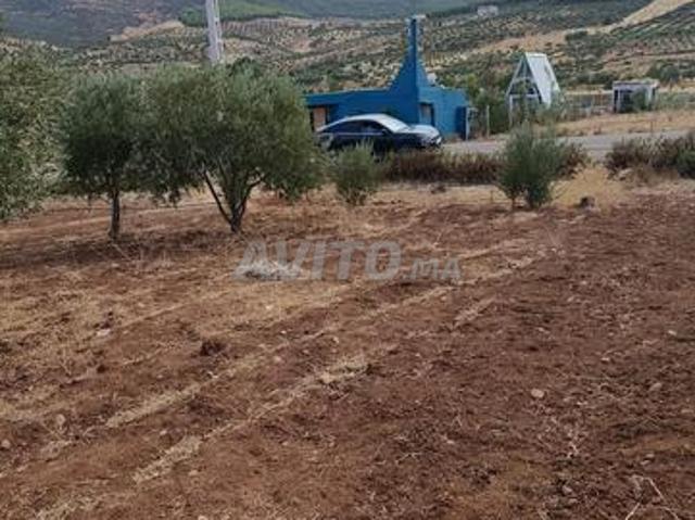 Propriété vente à Taza تازة, Province de Taza إقليم تازة