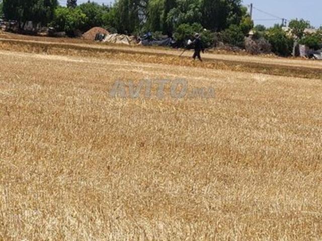 Propriété vente à Berrechid, Gharb-Chrarda-Beni Hssen