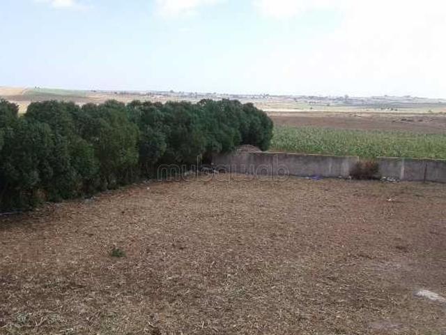 Ferme vente à El Ma, Gharb-Chrarda-Beni Hssen