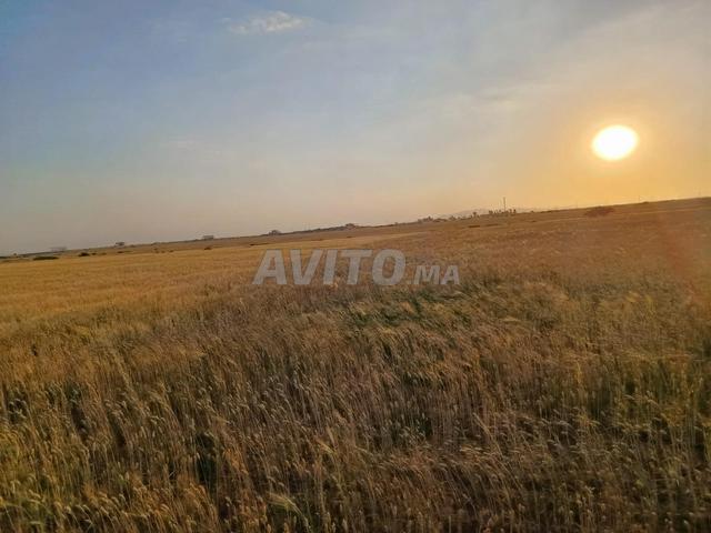 Propriété vente à Anfa, Gharb-Chrarda-Beni Hssen