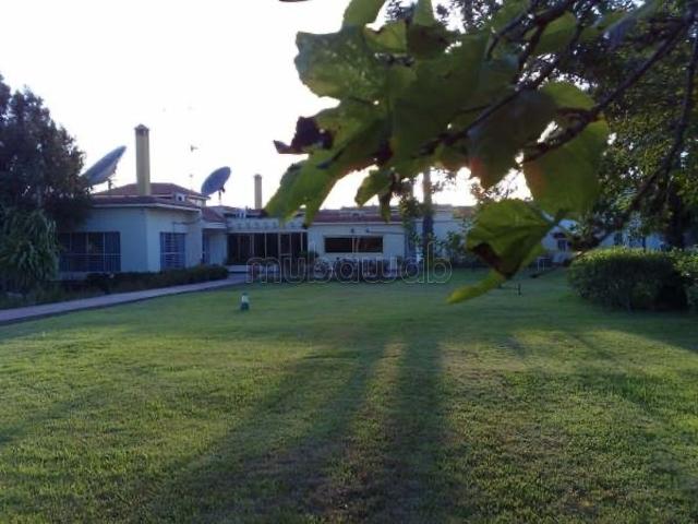 Ferme vente à Saf, L'Oriental