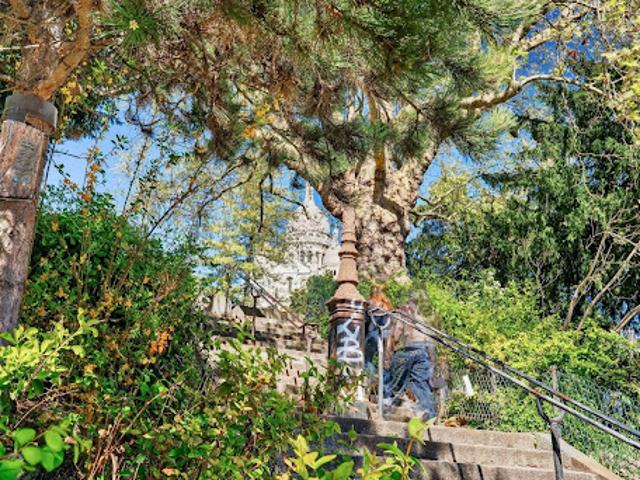 Duplex vente à Paris, Île-de-France
