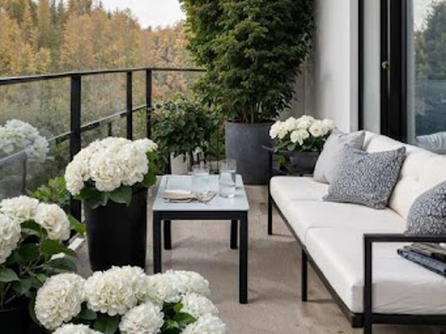 Duplex vente à Nanterre, Suresnes