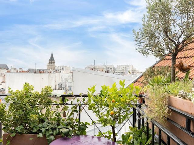 Duplex vente à Paris, Île-de-France