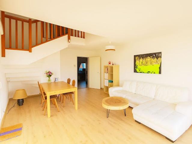Duplex vente à Sélestat-Erstein, Erstein