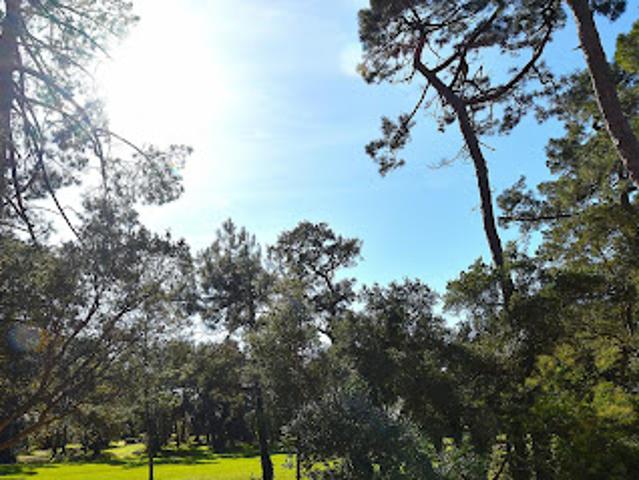 Duplex vente à Dax, Soorts-hossegor