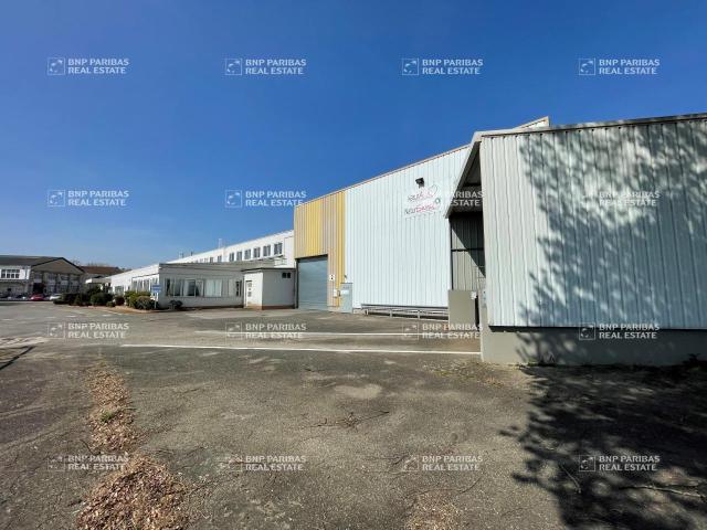 Local Commercial vente à Schweighouse-sur-Moder, Collectivité européenne d'Alsace