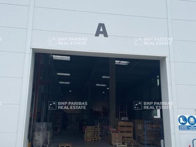 Local Commercial vente à Vendenheim, Collectivité européenne d'Alsace