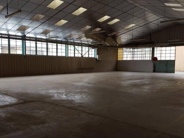 Local Commercial vente à Sainte-Quitterie, Plaisance