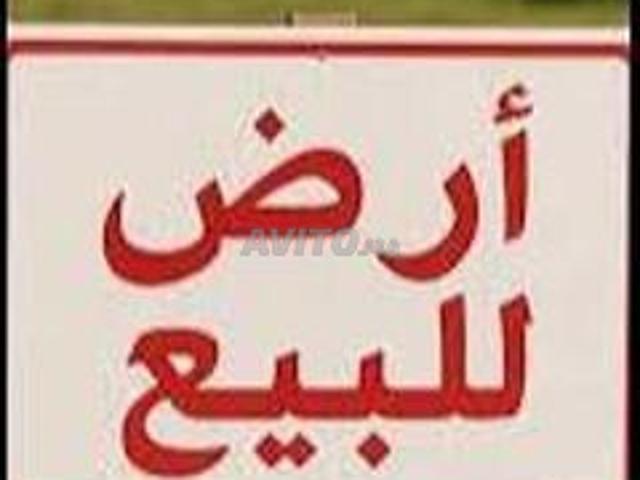 Propriété vente à Sidi Allal El Bahraoui