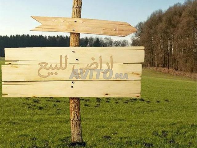 Propriété vente à Sidi Allal El Bahraoui