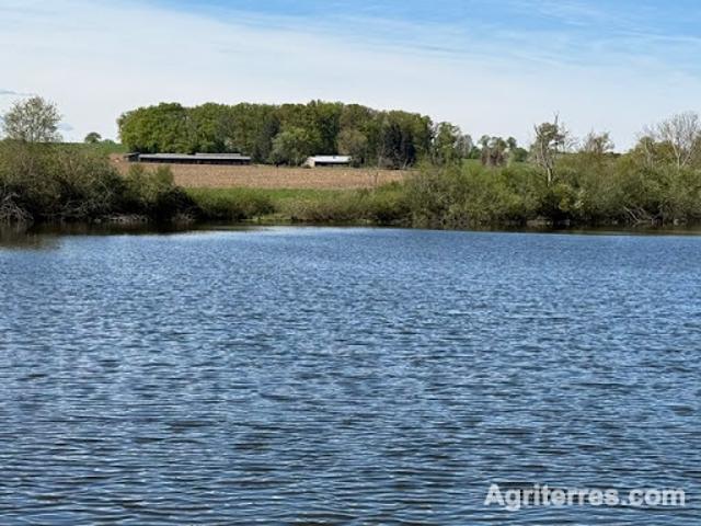 Ferme vente à La Goutte, Saint-Pourçain-sur-Sioule