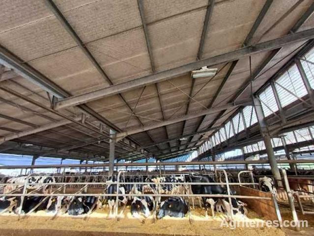 Ferme vente à Chaumont, Graffigny-chemin