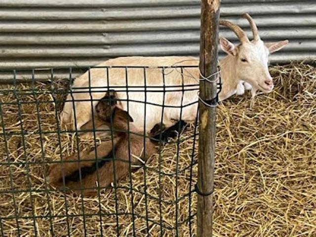 Ferme vente à Langon