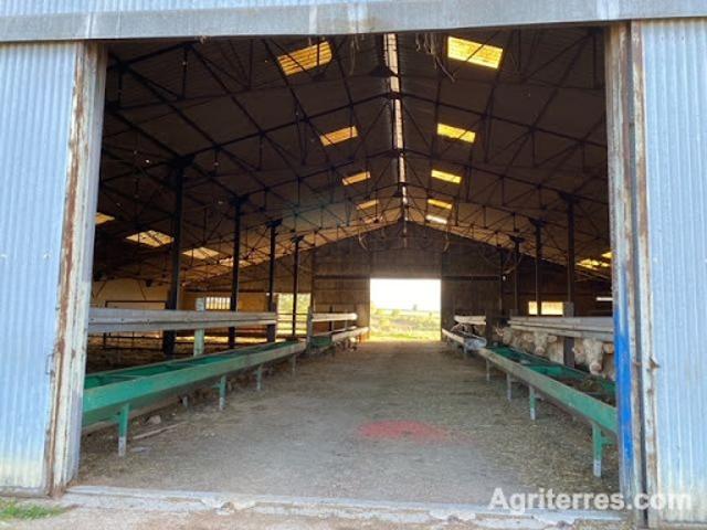 Ferme vente à Montluçon, Montmarault
