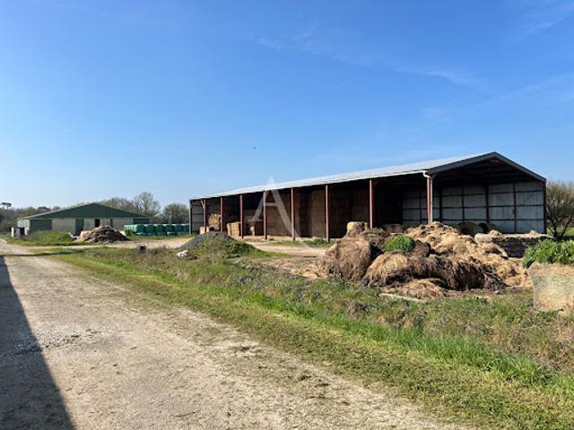 Ferme vente à Les Sables-d'Olonne, Beauvoir-sur-mer
