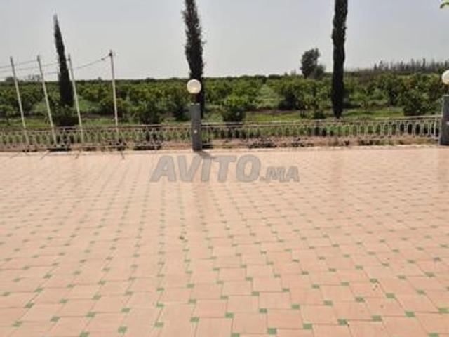 Propriété vente à Mellal