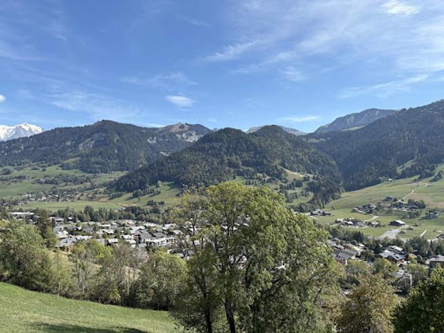 Ferme vente à Les Varins, Praz-sur-Arly