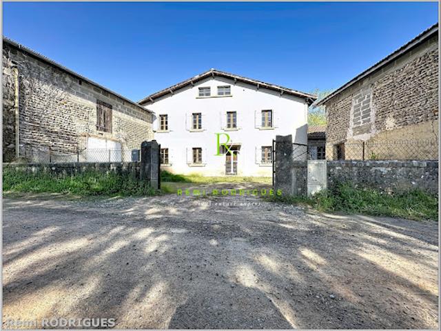Ferme vente à Pau, Vignes
