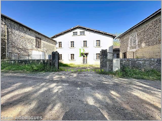 Ferme vente à Pau, Vignes