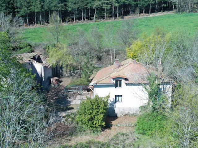 Ferme vente à Roanne, Violay
