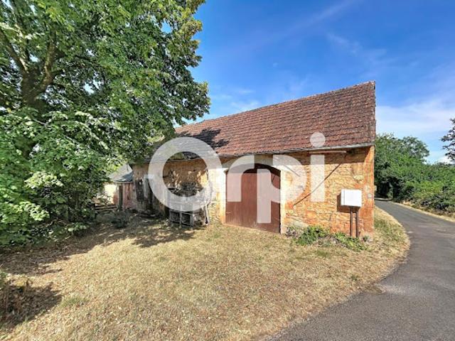 Ferme vente à Brive-la-Gaillarde, Chartrier-ferrière