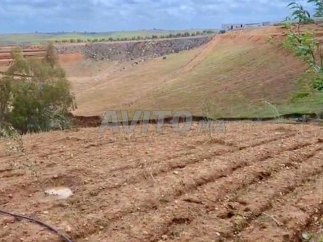 Propriété vente à Sidi Allal El Bahraoui