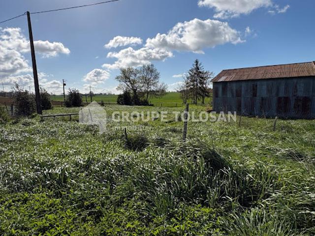 Ferme vente à Toulouse, Caraman