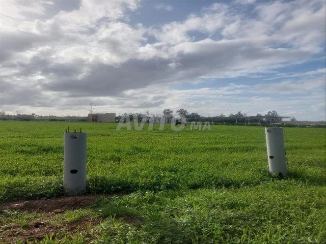 Propriété vente à Slimane, Gharb-Chrarda-Beni Hssen