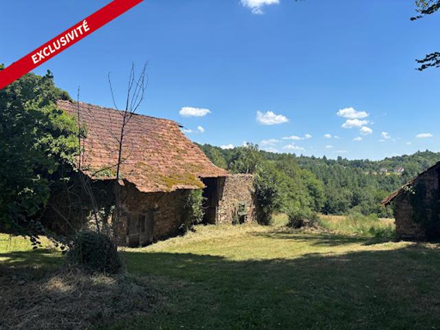 Ferme vente à Tulle, Naves