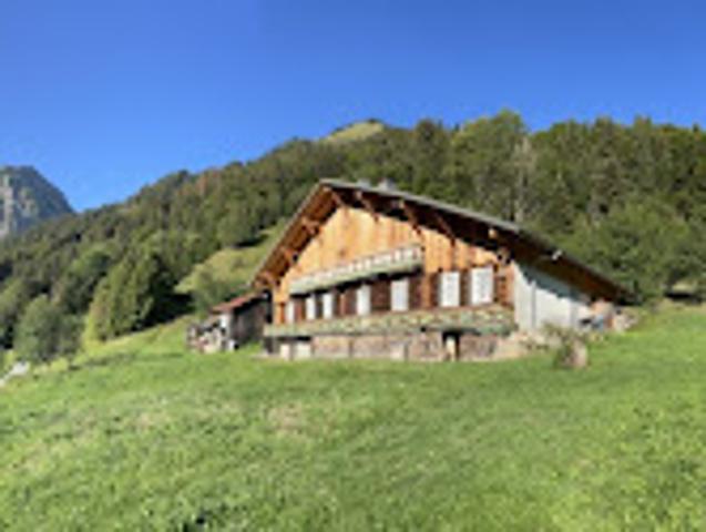 Ferme vente à L'Édian, Abondance