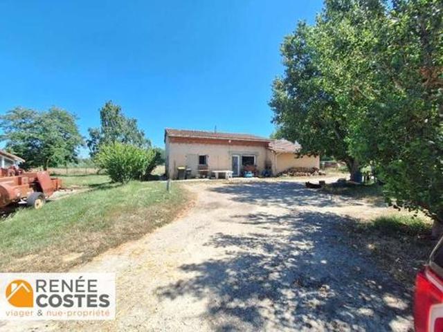 Ferme vente à Grisolles, Tarn-et-Garonne