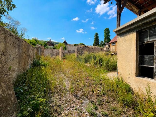 Ferme vente à Andlau, Collectivité européenne d'Alsace