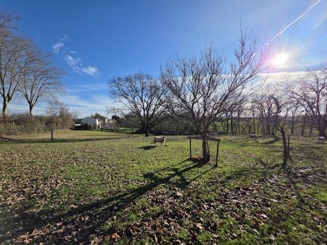 Ferme vente à Albi, Sainte-gemme