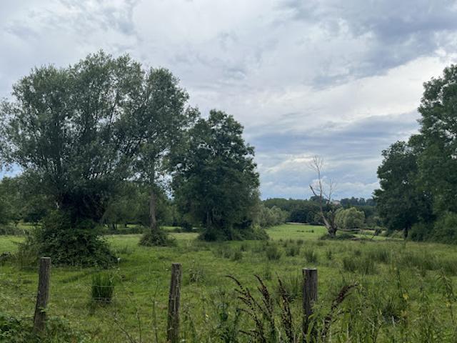 Ferme vente à Louhans-Châteaurenaud, Bouhans