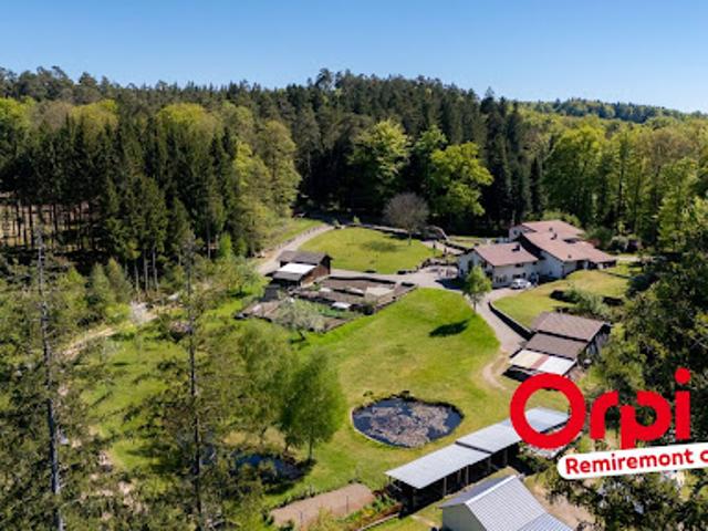 Ferme vente à Épinal, Saint-nabord