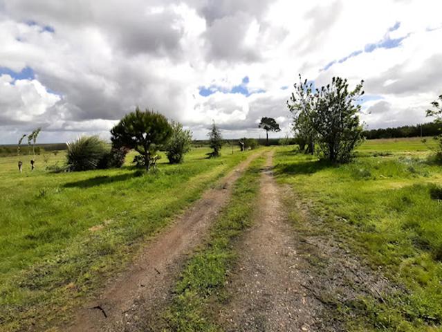 Ferme vente à Castelsarrasin, Lavit