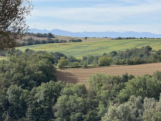Ferme vente à Toulouse, Beauteville
