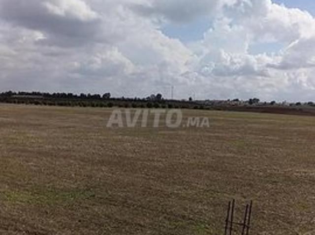 Propriété vente à Slimane, Gharb-Chrarda-Beni Hssen
