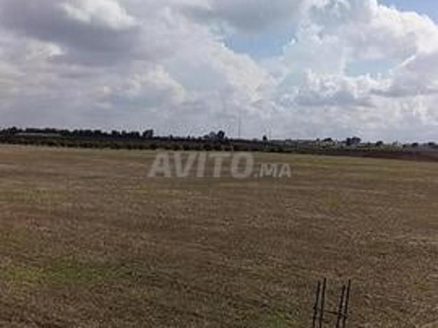 Propriété vente à Slimane, Gharb-Chrarda-Beni Hssen