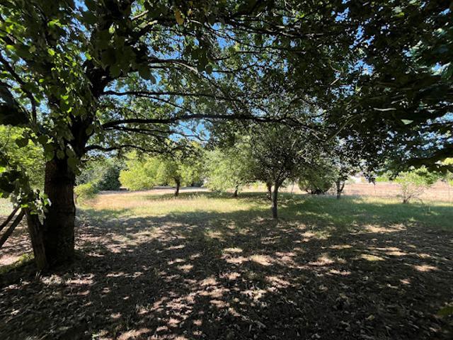 Ferme vente à Louhans-Châteaurenaud, Ratenelle